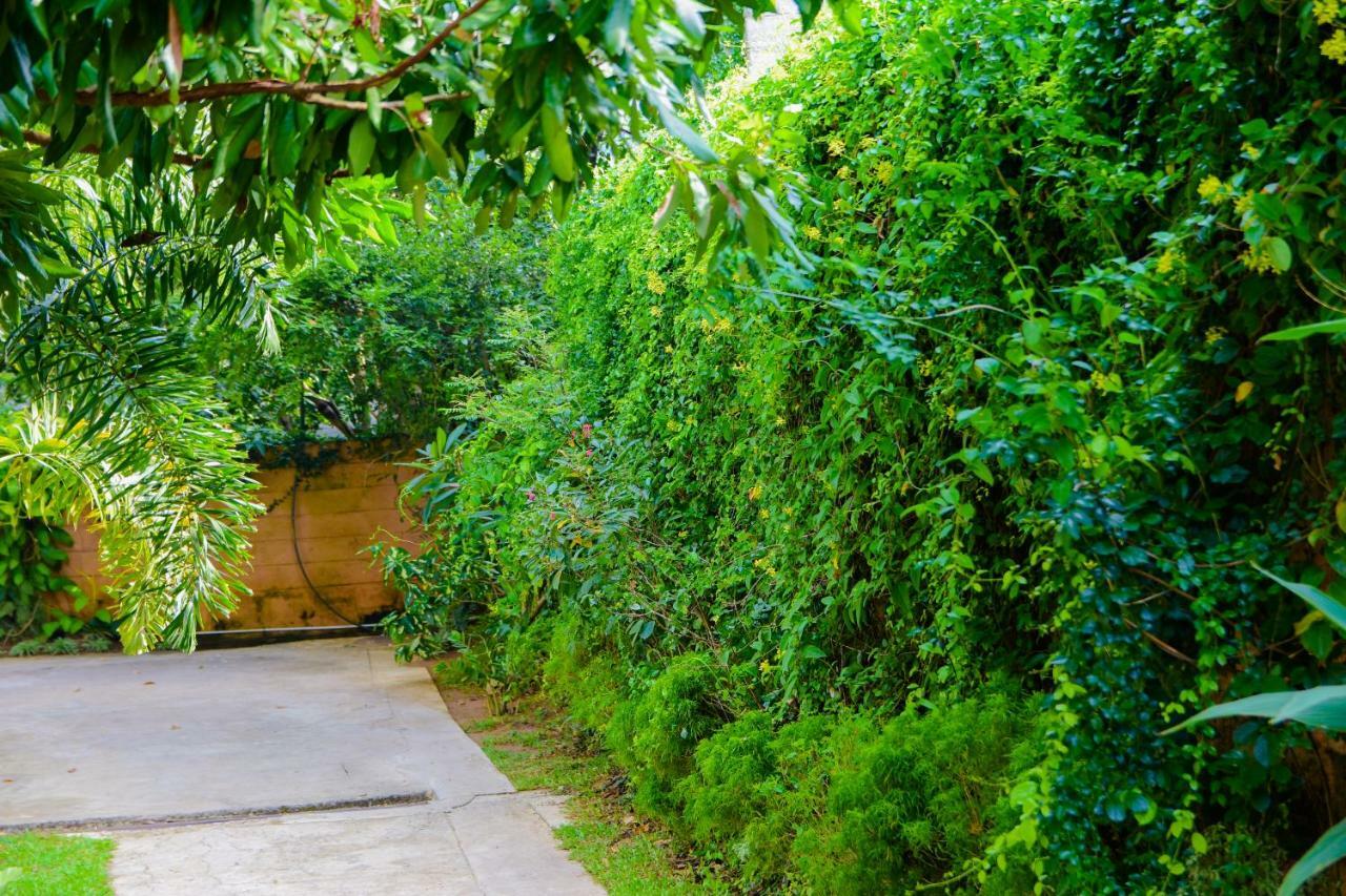 Homestay Garden Rest קנדי מראה חיצוני תמונה