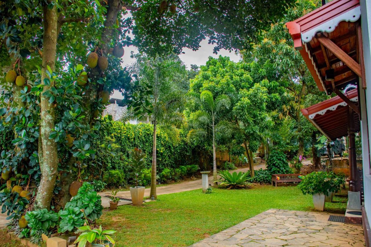 Homestay Garden Rest קנדי מראה חיצוני תמונה