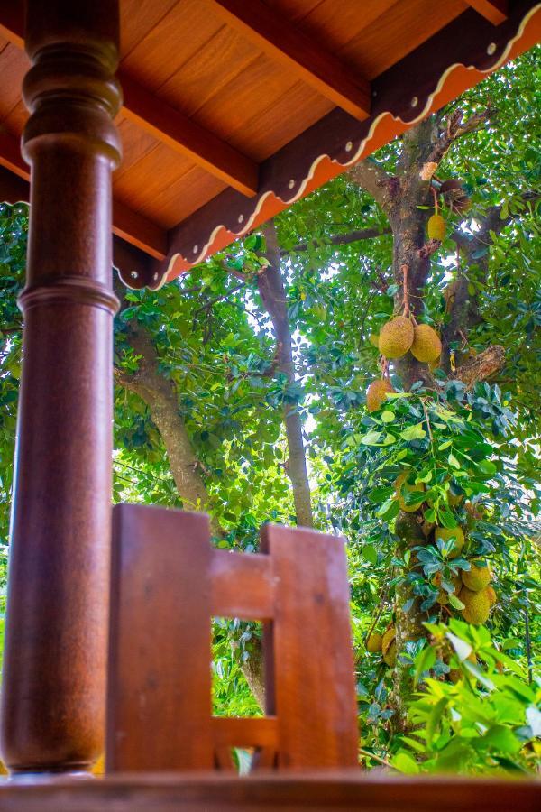 Homestay Garden Rest קנדי מראה חיצוני תמונה